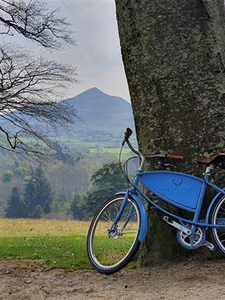 blue bicycle by tree