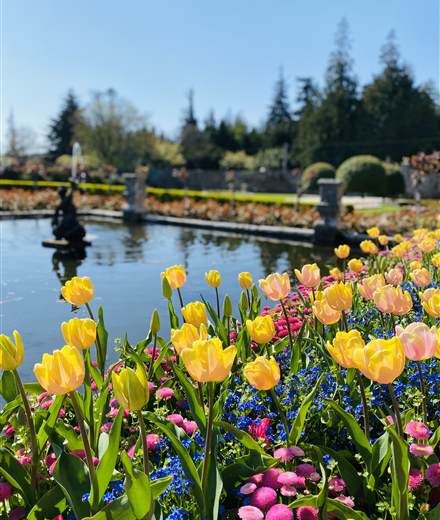 Summer Flowers 3
