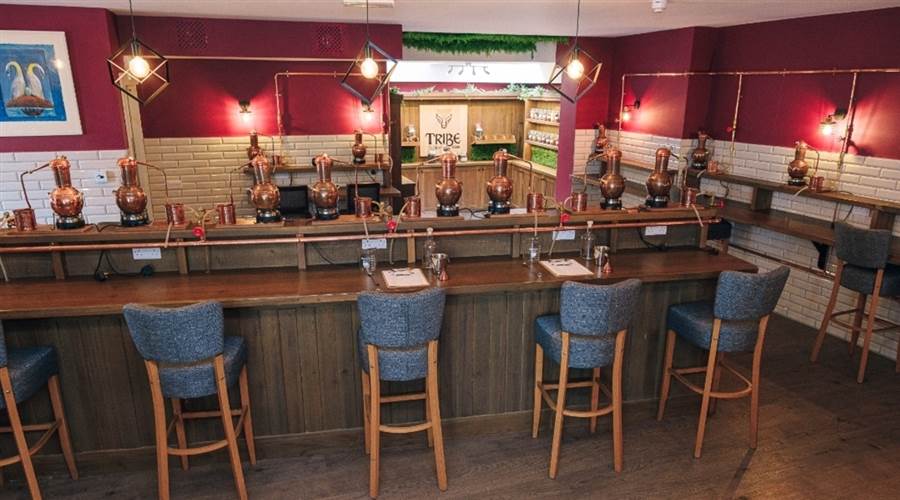 Tribe Gin School