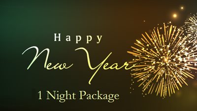 Happy New Year Images 2019 (1 night)