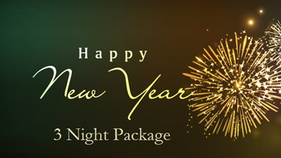 Happy New Year Images 2019 (3 nights)