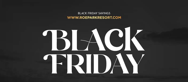 2895  Roe Park  Black Friday Promotion