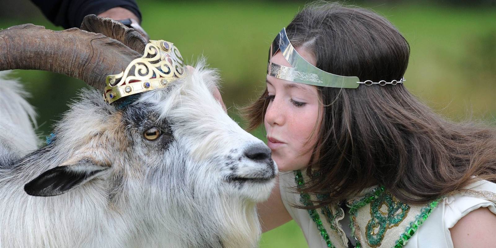 Puck Fair Queen Kissing Goat