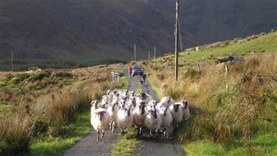 Unique Experiences You Find in Kerry, Ireland