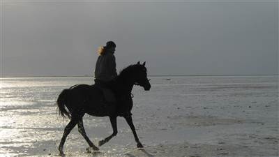 Hotel & Accommodation with Horse Riding in Ireland