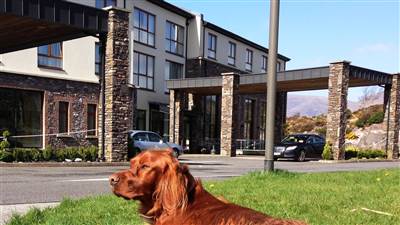 Pet friendly self catering in Kerry at Sneem 4 star hotel