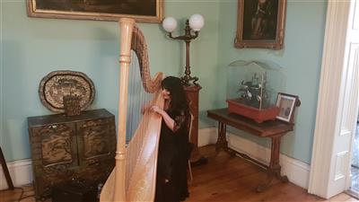 Harpist for Ceremony or Reception