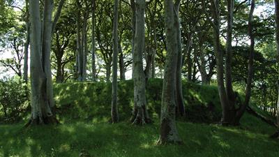 Explore the ring fort by the lake