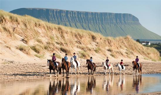 Horse Riding Co