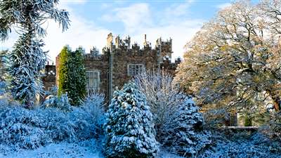 Winter Wonderland
