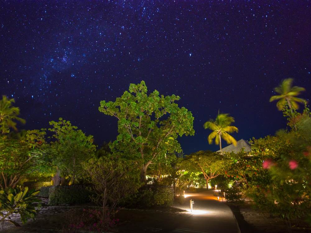 Zanzibar Night Sky